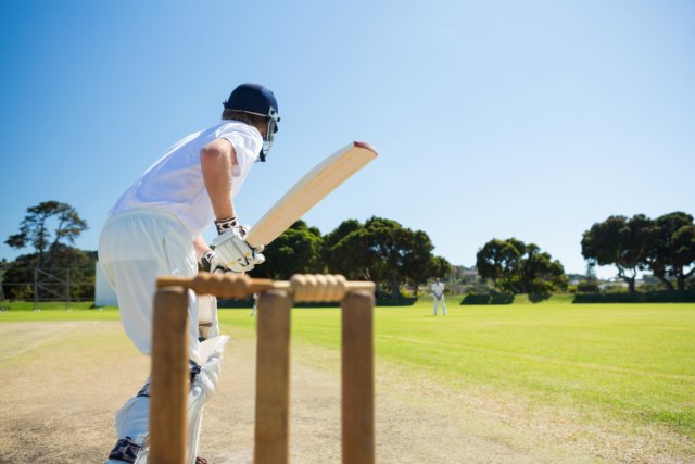 Back shot of man playing cricket